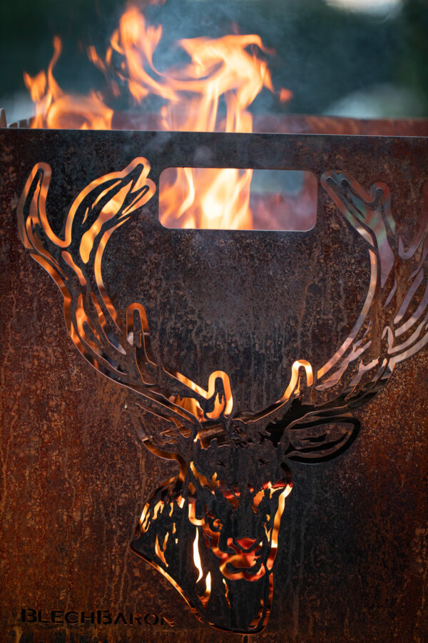 Blechbaron Wildlife Edition – Bild 10